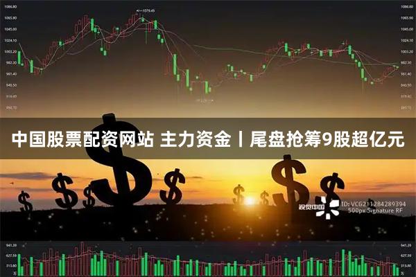 中国股票配资网站 主力资金丨尾盘抢筹9股超亿元